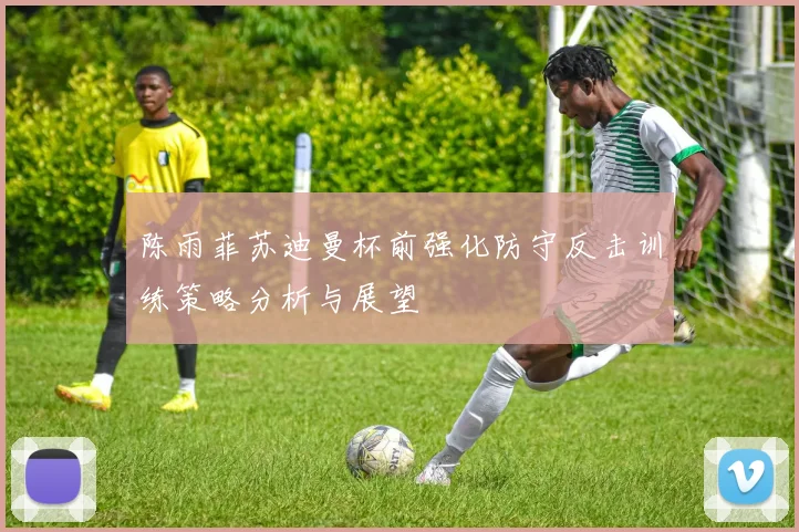 陈雨菲苏迪曼杯前强化防守反击训练策略分析与展望